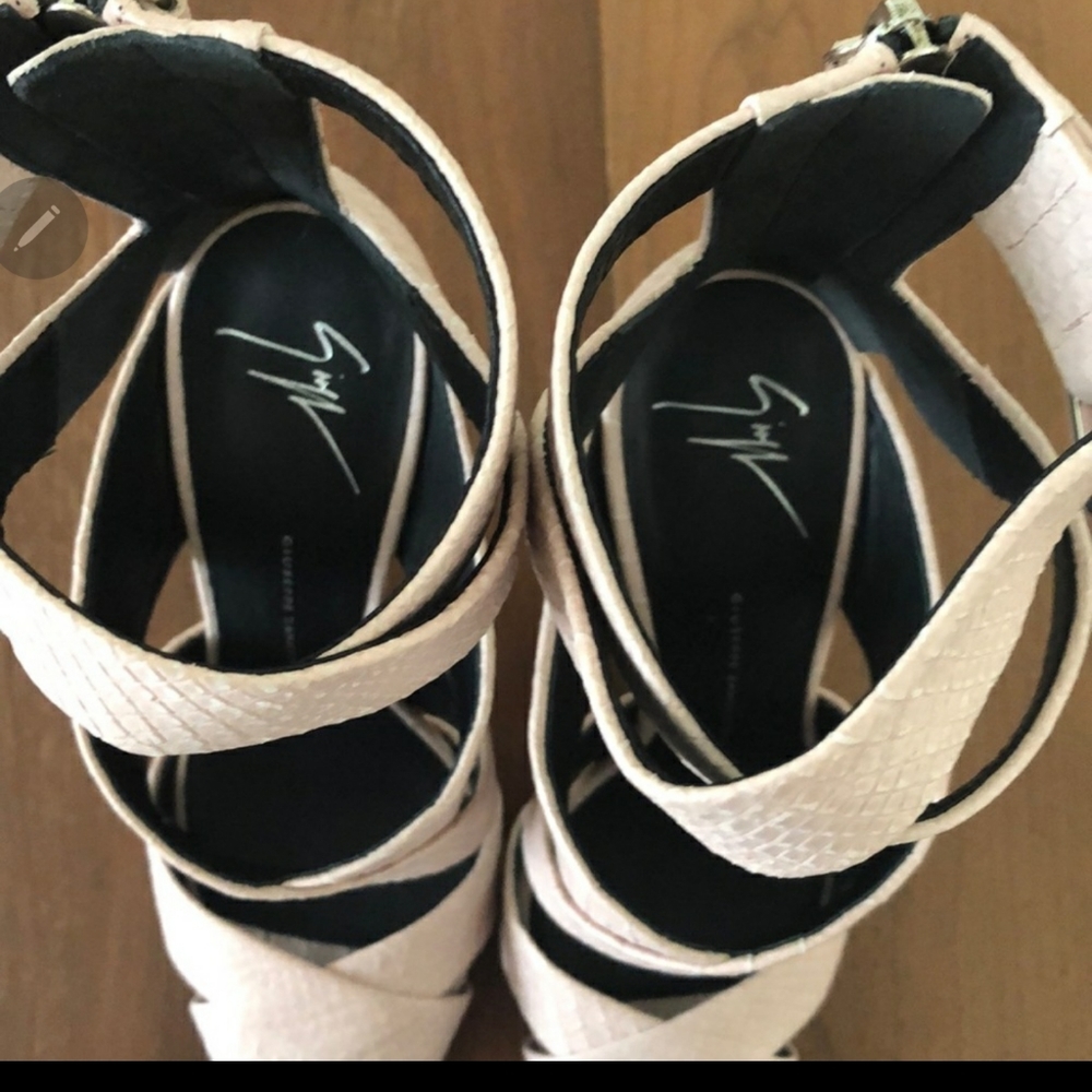 Giuseppe Zanotti - Picture 2 of 6